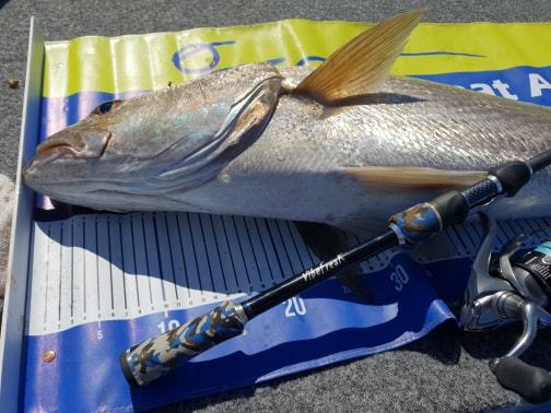 MILLER RODS VIBEFREAK 732