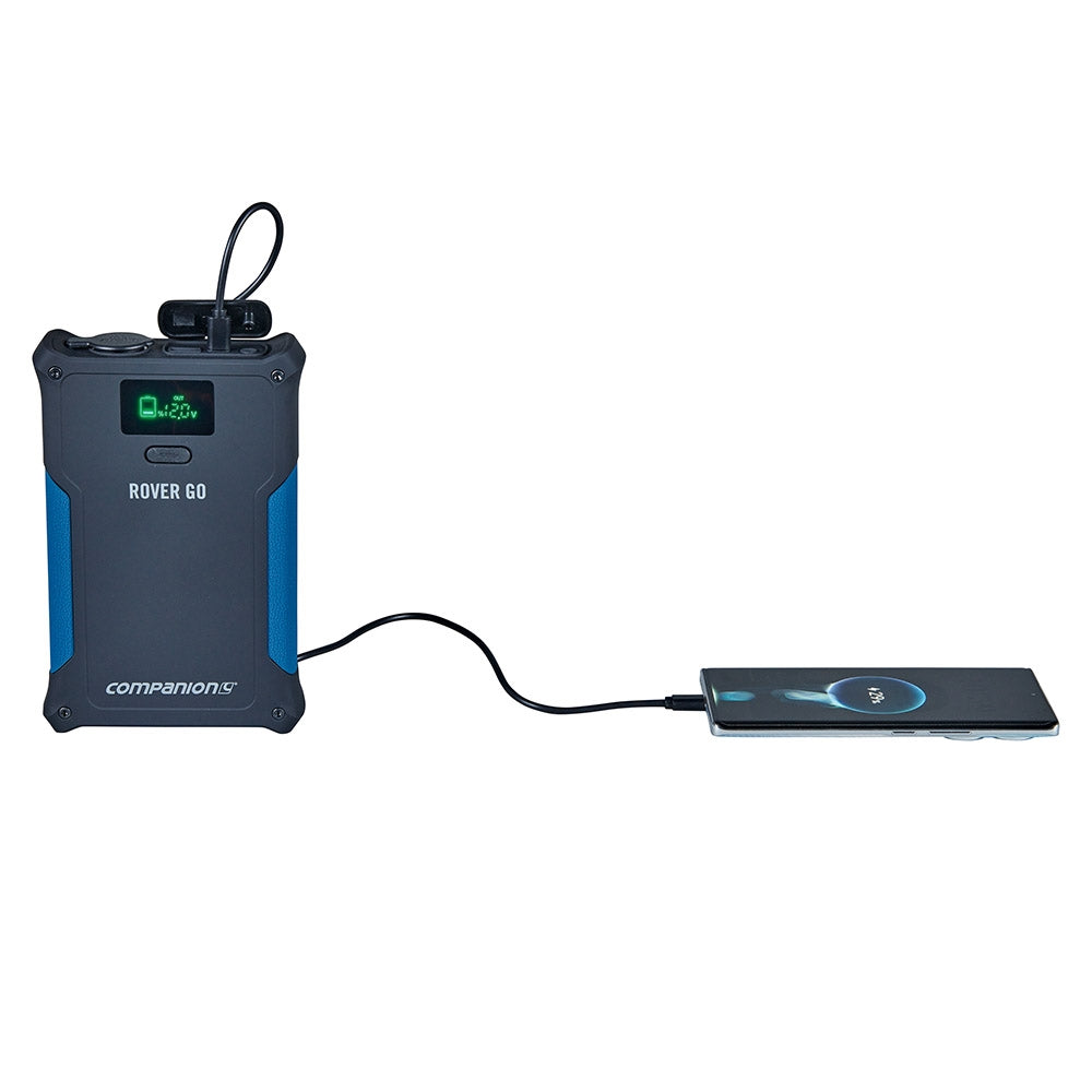 COMPANION ROVER GO POWER STATION