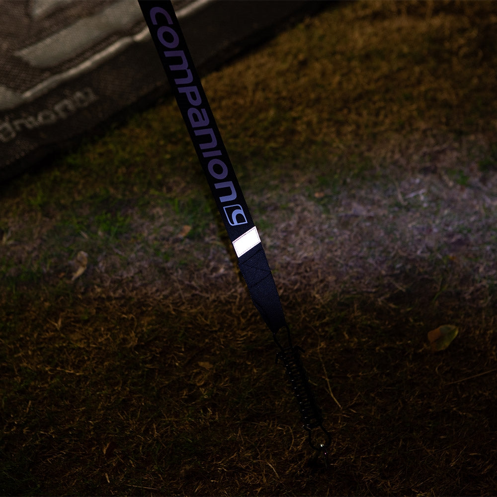 COMPANION CARAVAN DELUXE AWNING TIE DOWN KIT