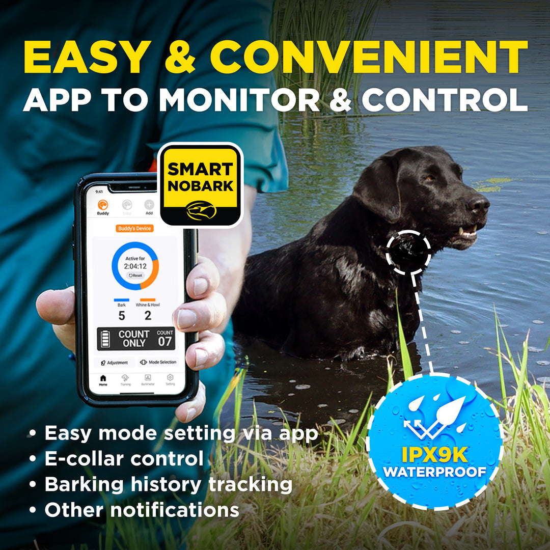 DOGTRA SMART NOBARK CONTROL COLLAR