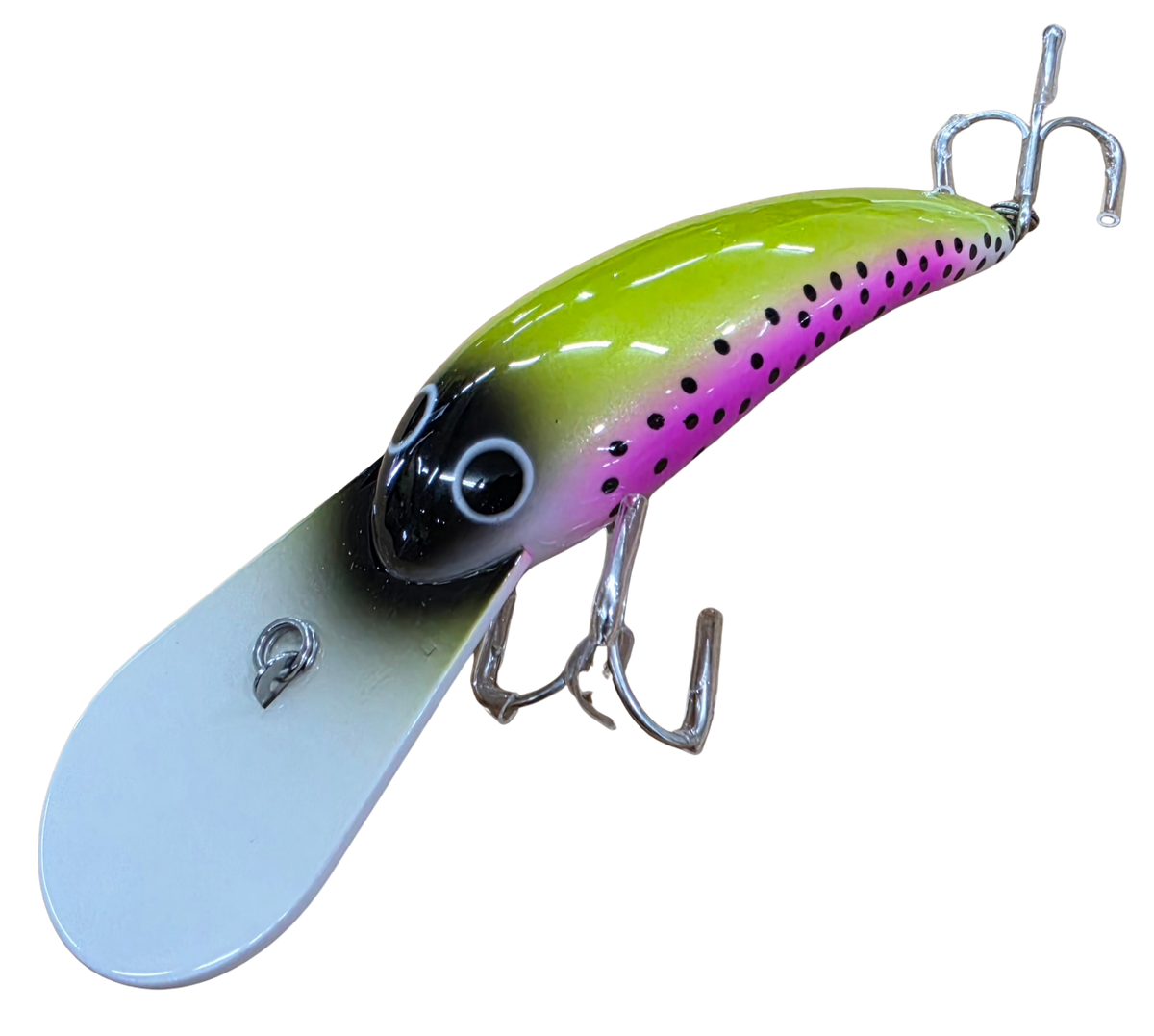 LIVE NATIVE WOGGALEYE 90 HARD BODY LURE
