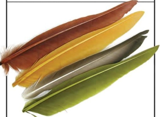 WAPSI DUCK QUILL, 2 PAIR BLACK