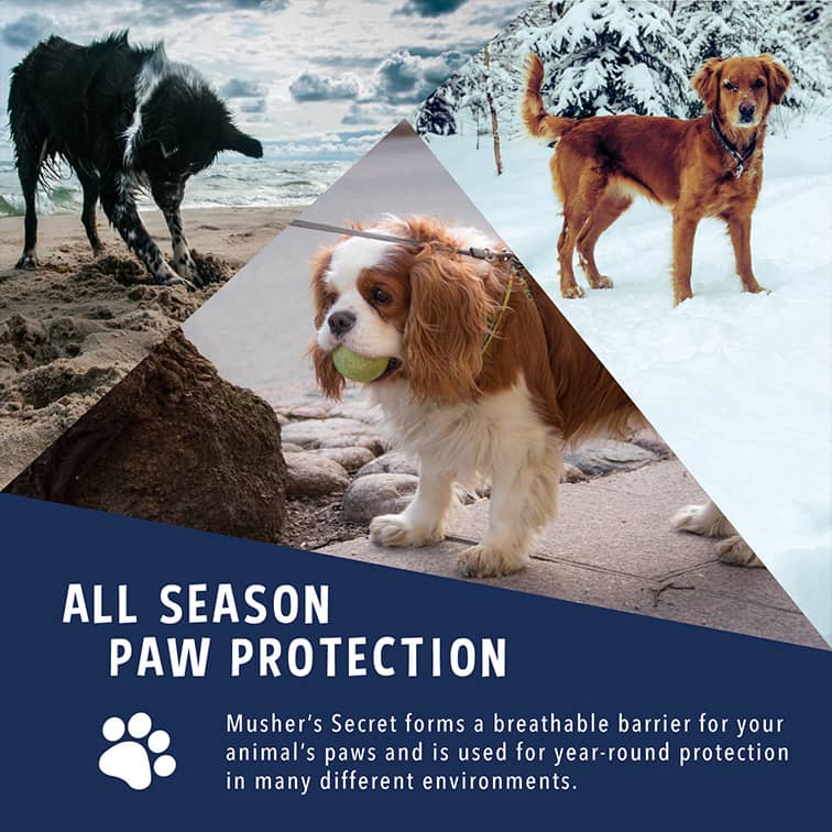 MUSHERS SECRET DOG PAW PROTECTION WAX