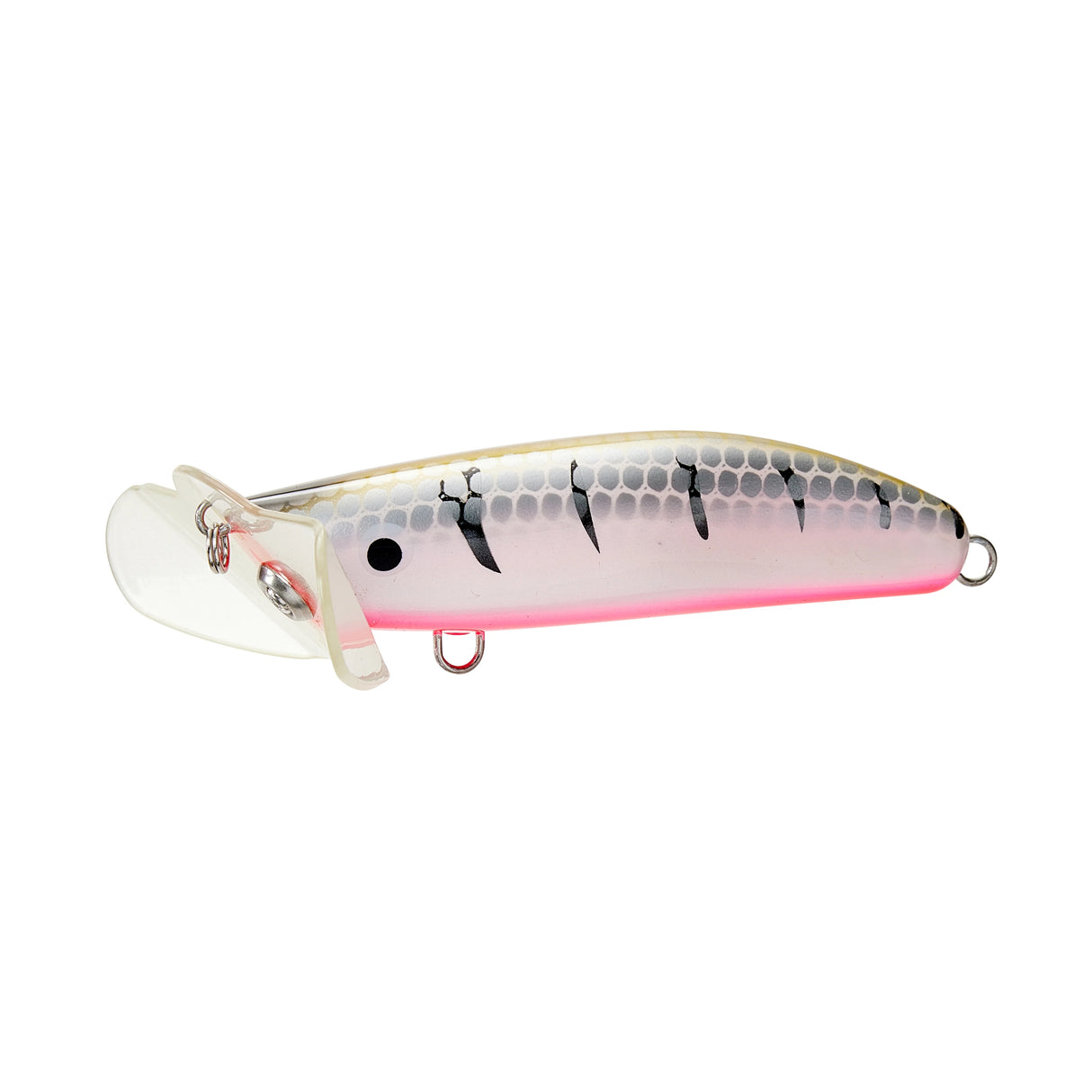 LIVE NATIVE SKUTTLEBUTT 70MM SURFACE LURE