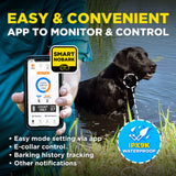 DOGTRA SMART NOBARK CONTROL COLLAR