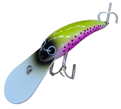 LIVE NATIVE WOGGALEYE 90 HARD BODY LURE