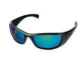 SPOTTERS ARTIC + POLARISED SUNGLASSES