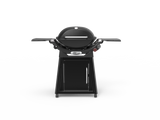 Weber Family Q 3200N+