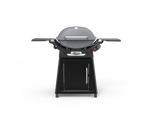 Weber Family Q 3200N+