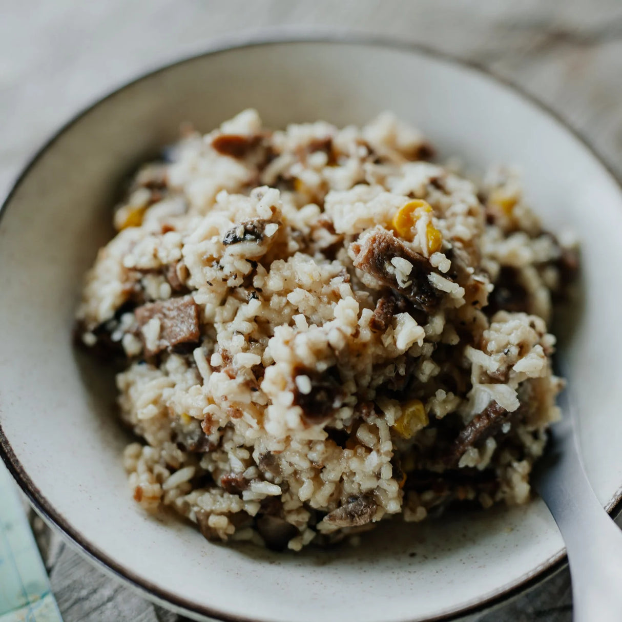 BACK COUNTRY CUISINE BEEF STROGANOFF FREEZE-DRY MEAL