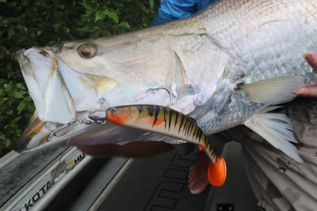 TT ENFORCER SWIMBAIT JIGHEADS 3/4 OZ
