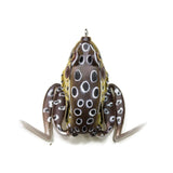 LUNKERHUNT POPPING FROG 1/2 OZ SURFACE LURE