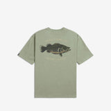DESOLVE COD TEE SAGE