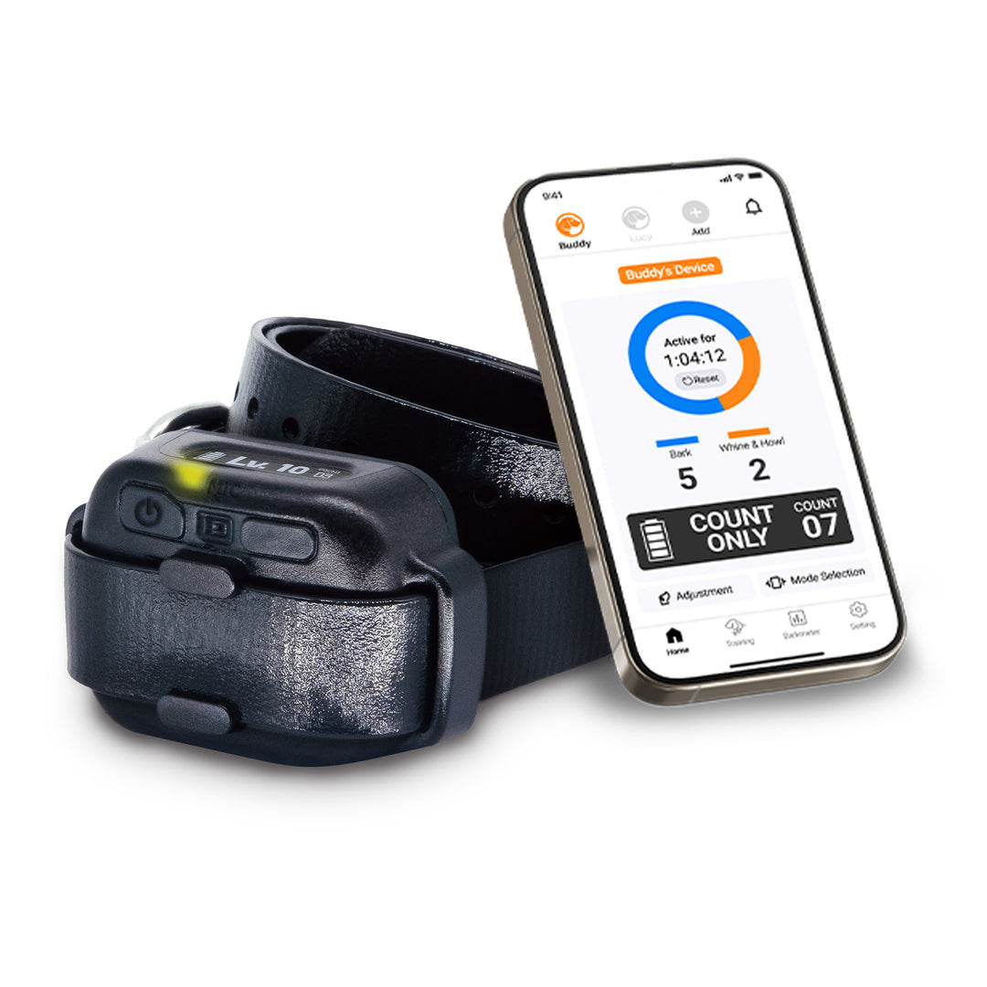 DOGTRA SMART NOBARK CONTROL COLLAR