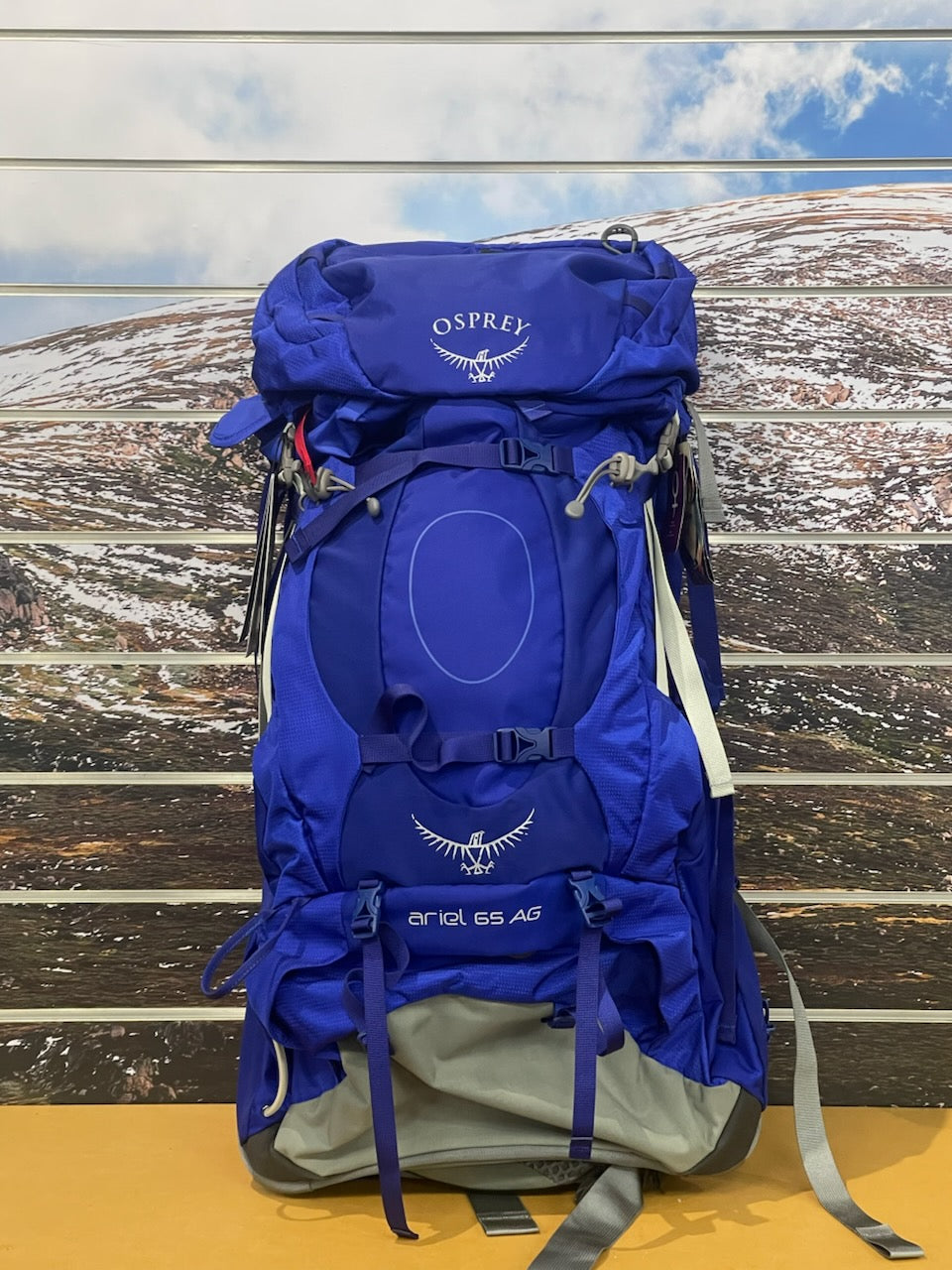 OSPREY ARIEL AG 65 WOMENS HIKING PACK MEDIUM