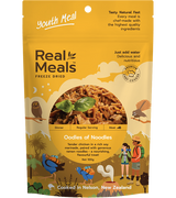REAL MEALS OODLES OF NOODLES  100G
