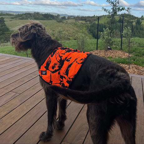 STONEY CREEK DOG VEST BLAZE ORANGE