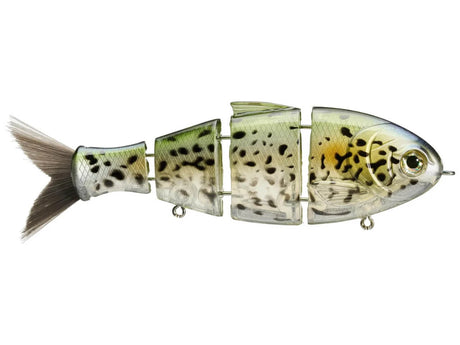 BUCCA 2.5IN LIL BABY BULL SHAD SINKING SWIMBAIT LURE