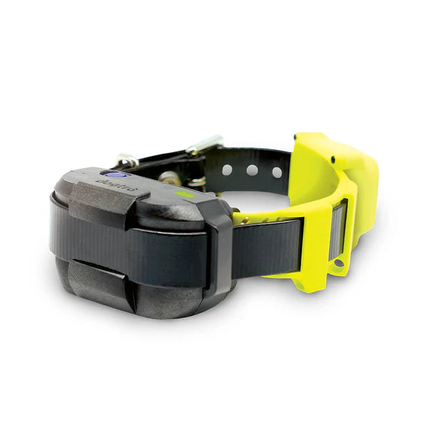 DOGTRA GPS DOG FENCE SYSTEM