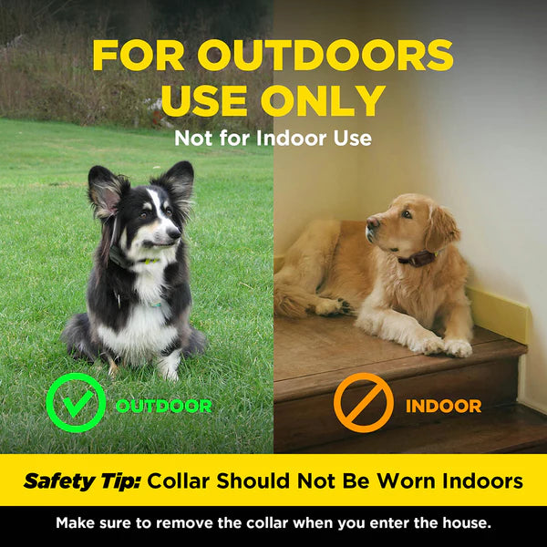 DOGTRA GPS DOG FENCE SYSTEM